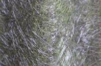 Kent Street fibreglass roof work